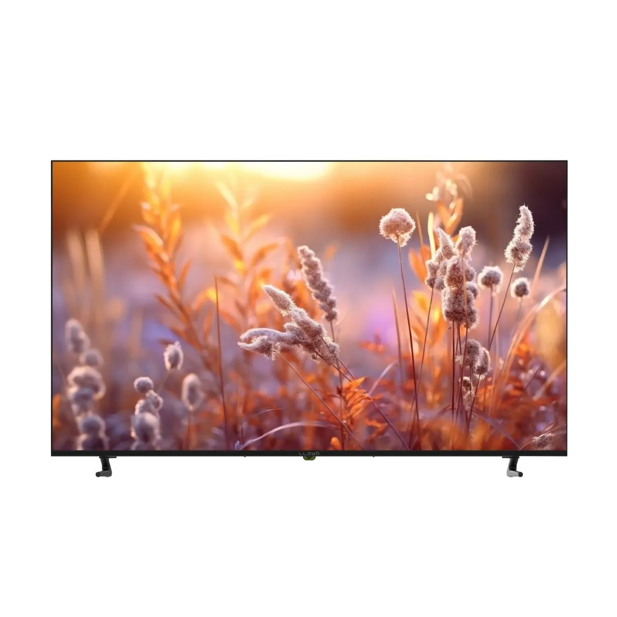 Mini LED TV 1.64 m